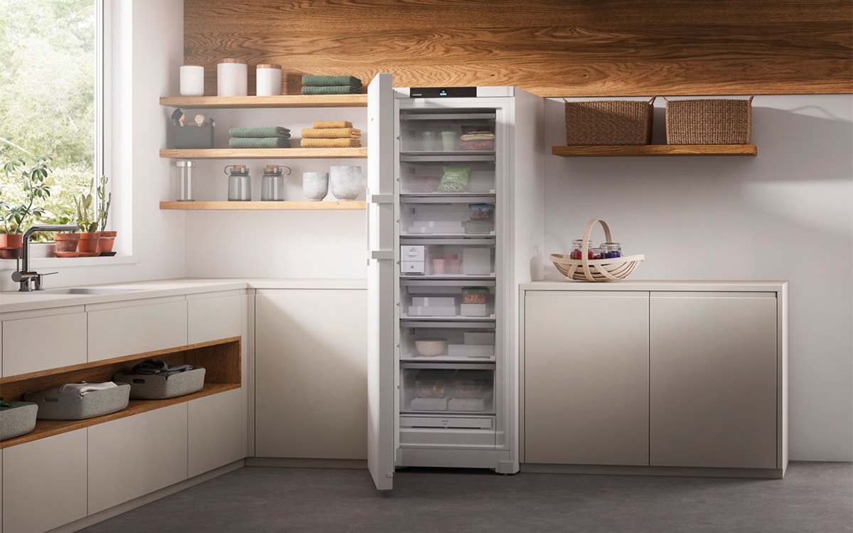 The Definitive Guide To Freezers